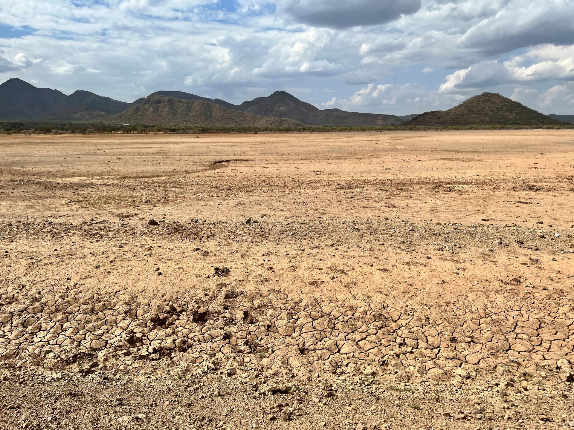 Stimmen zur Klimakrise